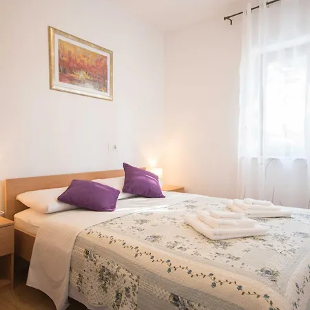 House, A Warm And Beautiful Pet Friendly